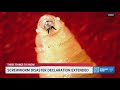 Screwworm disaster declaration extended