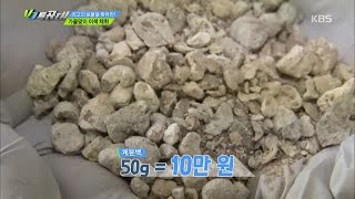 VJ 특공대 - 최고의 보물을 찾아라! 가을맞이 이색 채취.20160930