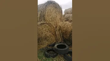 Хранение сена. Чем накрыть сено?