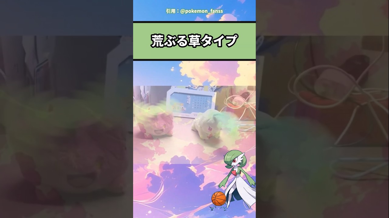 葉っぱ対決の末路　#アニメ #ポケモン #おすすめ