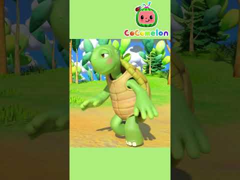 Tortoise and the