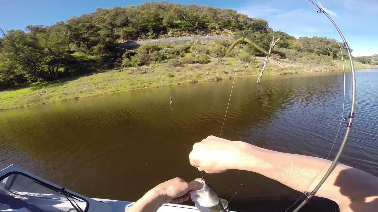 Coyote Reservoir Fishing 2/27/16 Three bass on one tree. YouTube