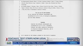 Local organization and advocate discuss fentanyl test strips now legal in Arkansas