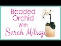 Beaded Orchid