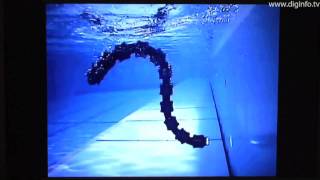 Snake Robot - on land & water