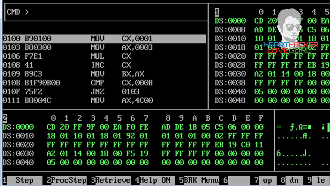 Dosbox Printer table print assembly programe using DOSBOX hindi/urdu - YouTube