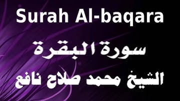 سورة البقرة ،القارئ محمد صلاح نافع