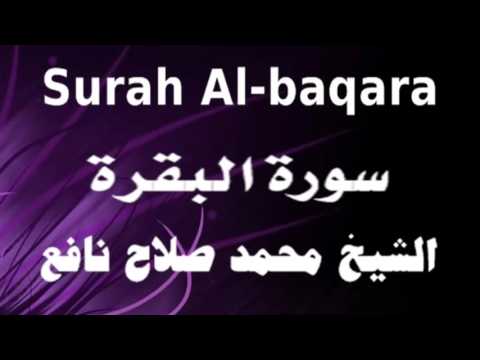 سورة البقرة القارئ محمد صلاح نافع