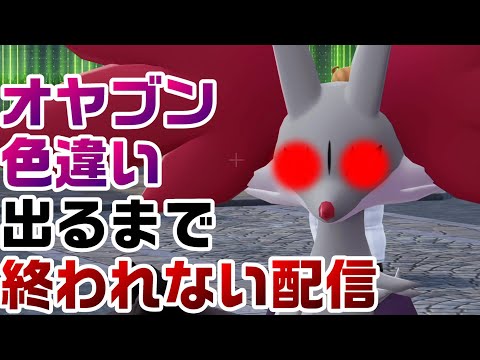 【ZA】ひかおまありでオヤブン色違い厳選します【レジェンズZA】