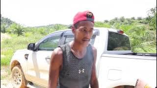 Memburu Hama Babi Hutan Siang Hari,Mengunakan Anjing Pengesan Di Kawasan Ladang.