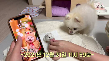 2021년이 2022년으로 바뀌는 순간!