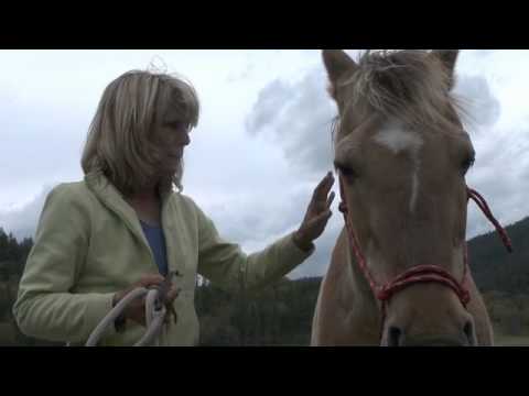 Rescued horse gets new lease on life