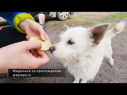 Велосипедный маршрут Шаховская - Торжок - Медное