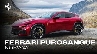 The Ferrari Purosangue  Norway
