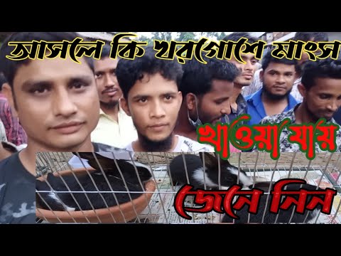 ভিডিও: মাংসের জন্য কোন খরগোশ?