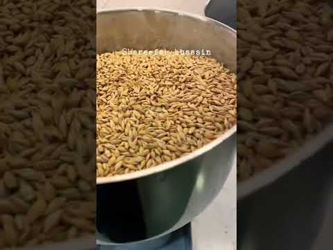قهوة الشعير