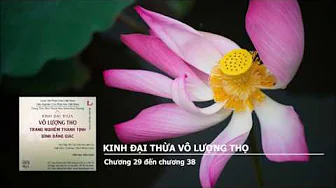 Chương 29 đến chương 38 