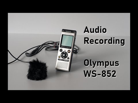 Audio Recording for Youtube Videos - Olympus WS-852