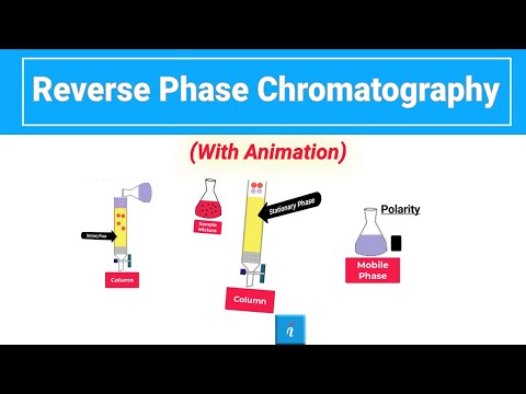 Reverse Phase Chromatography