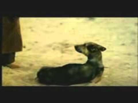 فيديو كليب رحمه للعالمين مصعب المقرن و محمد الجبالي