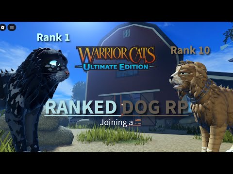 Joining a Ranked Dog Roleplay | Warrior Cats; Ultimate Edition