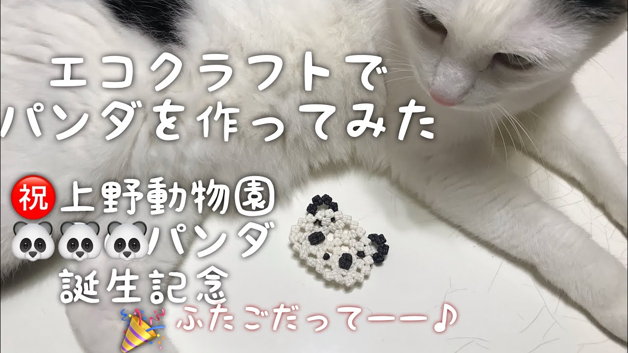 祝パンダのふたごが生まれた記念に　パンダの小皿　エコクラフトで作ってみた