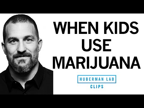Effects of Cannabis (Marijuana) on Adolescent & Young Adult Brain | Dr. Andrew Huberman