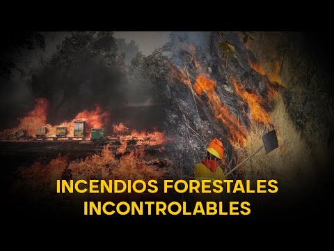 Incendios forestales incontrolables en Perú y en el mundo