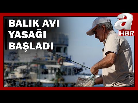 Balıkçıların Sezonu Nasıl Geçti? / A Haber | A Haber