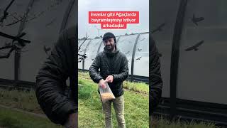 #bahçivan #uzman #bayram #yutube #