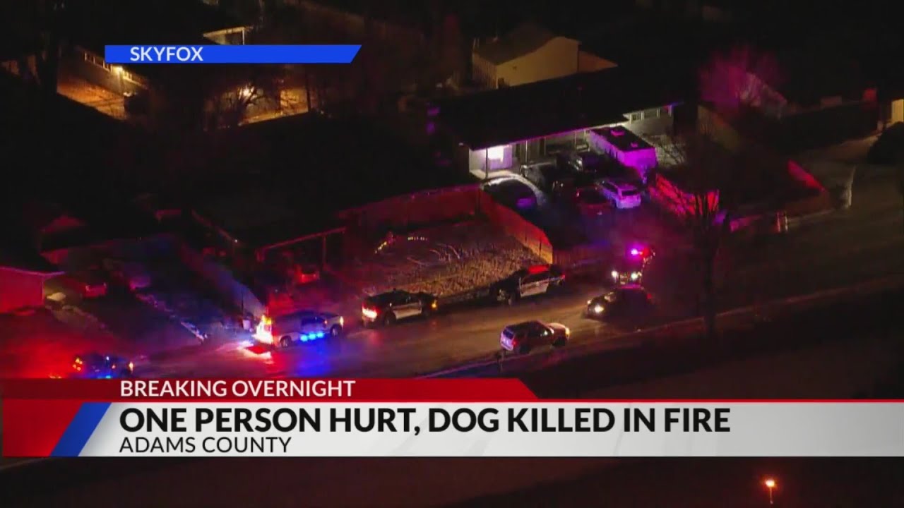 1 person injured, dog killed in Adams County house fire - YouTube