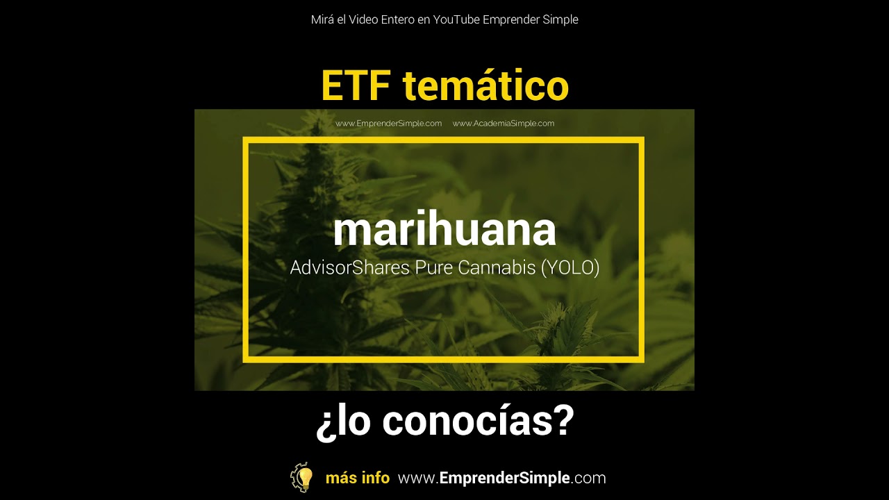 🌀 MARIHUANA I Emprender Simple