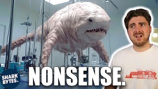 Shark Scientist Explains Bermuda White Shark Hybrid.