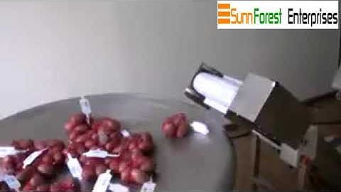 Automatic Potato Mesh Net Packing Machine
