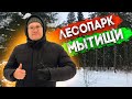 Зимняя сказка! Лесопарк в Мытищах