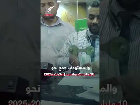 توريق العائدات الدولارية ماذا يعني