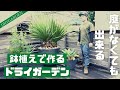【お庭がない人必見！】鉢植えで作るドライガーデン！！