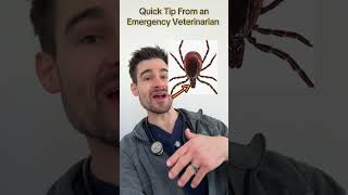 Quick Tip on Ticks
