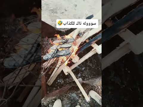 تاك للكذاب گلوله خوش مشويات منشور للمزح اكسبلور 