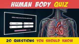 Test Your Human Body Knowledge! 🧠 Take This 20-Question Anatomy Quiz! 📚