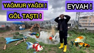 YAĞMUR YAĞDI GÖL TAŞTI - Balıklara NE OLDU ? Gaziantep'te ŞİDDETLİ YAĞMUR !