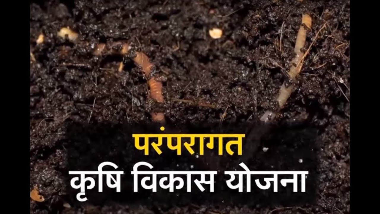 Chaupal Charcha - PKVY special - Nagla Mansa village Uttar Pradesh dairy cow