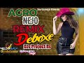 AgroNejo Remix Deboxe DJs Project RS Sertanejo Remix #08