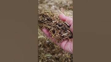 The Deep Litter Method is GREAT in the Winter #chickenlandia #backyardchickens #raisingchickens