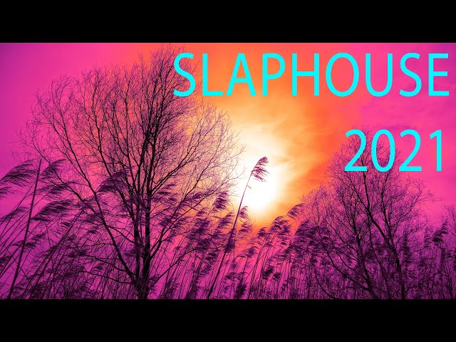 Lucky Luke - Cooler Than Me (Zesawa Remake) | Slap House 2021