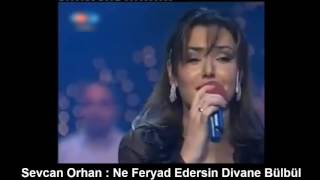 SEVCAN ORHAN : NE FERYAD EDERSİN DİVANE BÜLBÜL