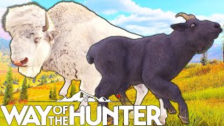 Aurora Shores is the Rare Fur Hotspot | Way of the Hunter
