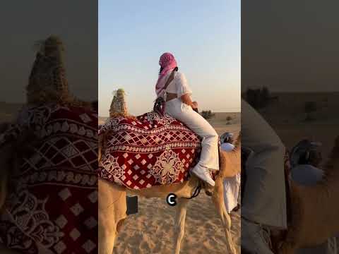 Вешаем лед на шею верблюда#короткое видео