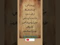 Always have strong trust on Allah#motivationalquotes#wordsofwisdom#lifequotes#trustonallah #like