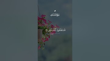 سورة الملك كامله سعد الغامدي 🩶 #قران #سعد_الغامدي #quran #سورة_الملك #قران_كريم 